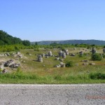 Каменный лес близ Варны